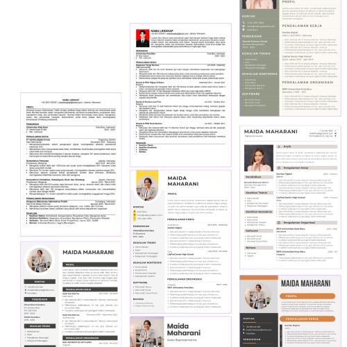 Contoh Resume Profesional